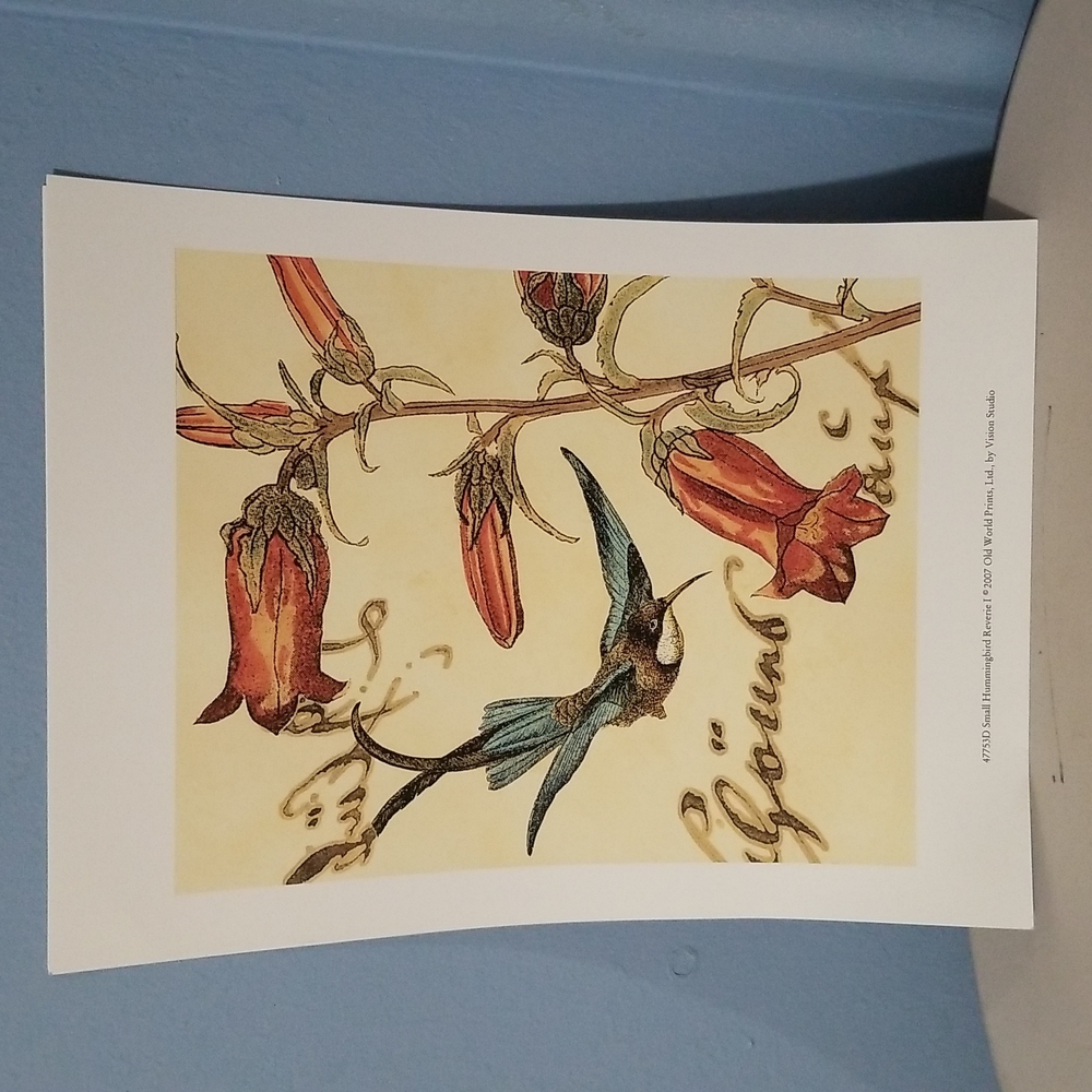 Hummingbird Prints - Picture 2 of 6